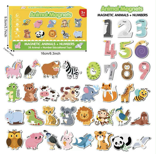 3. Magnet bundles