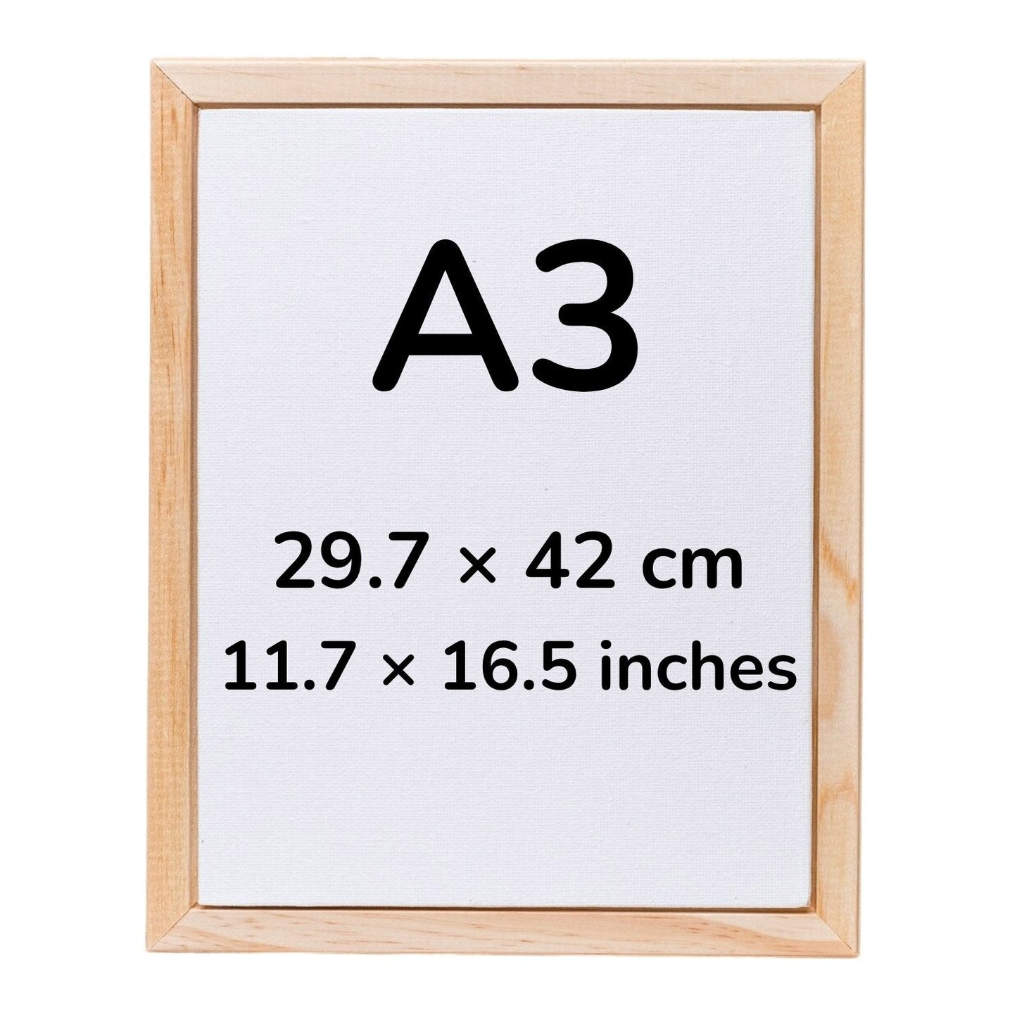 A3