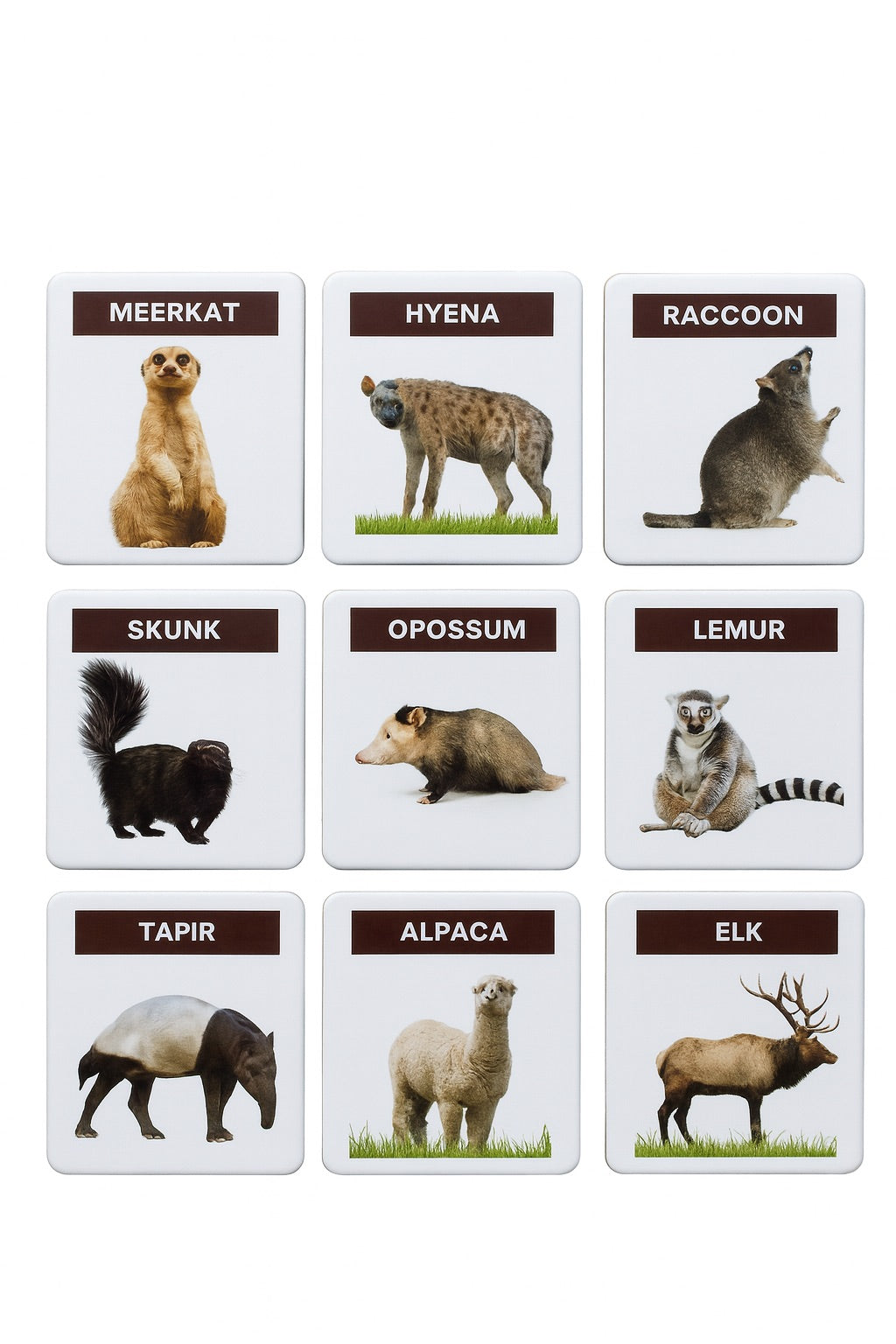 Montessori Realistic Animal Magnets (48 pcs)