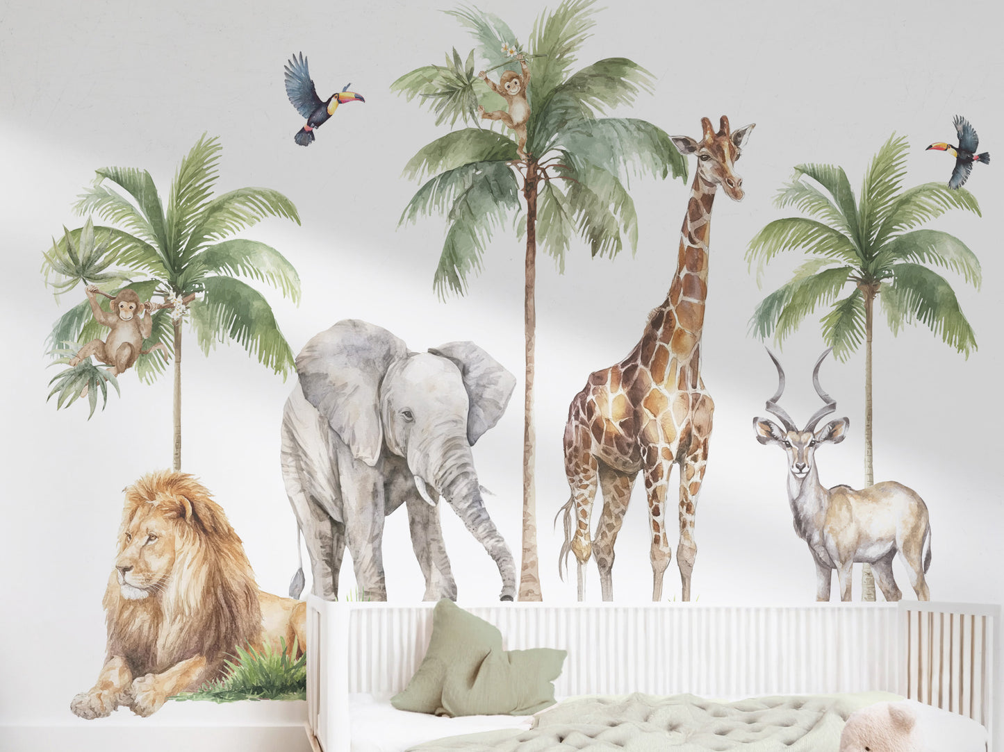 Safari Collection – From $189