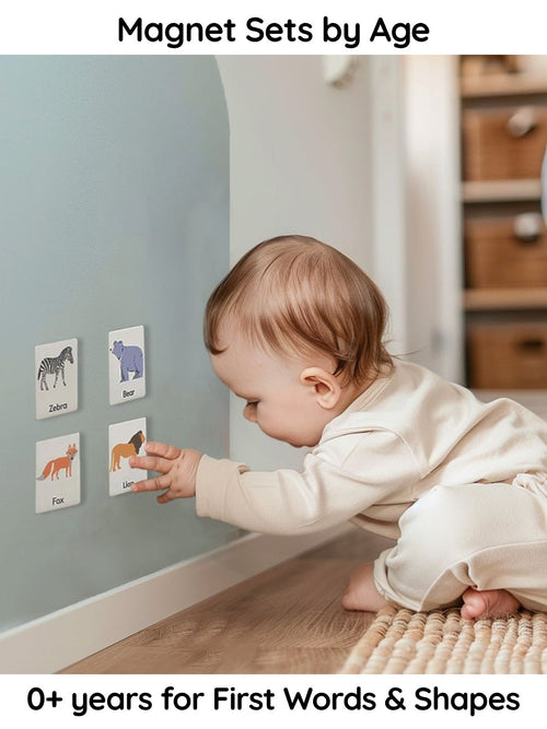 Early Discovery (0+) Magnet Sets