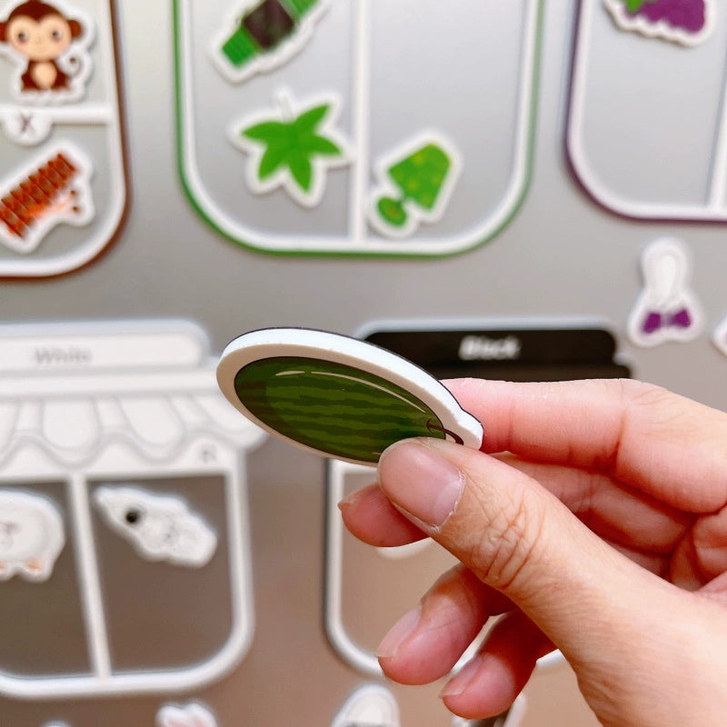 Color Classification Magnets