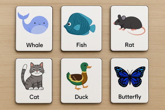 Animal Vocabulary Flash Cards Magnets