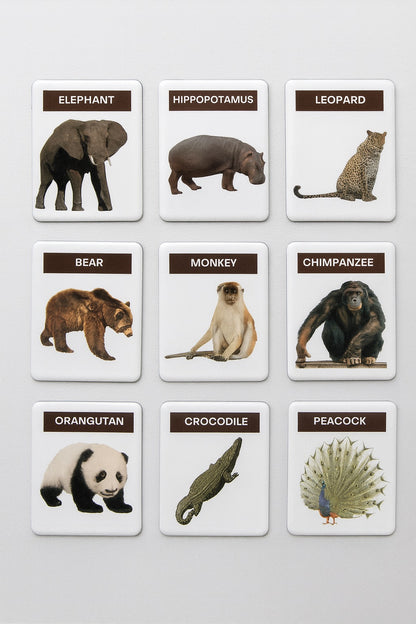 Montessori Realistic Animal Magnets (48 pcs)