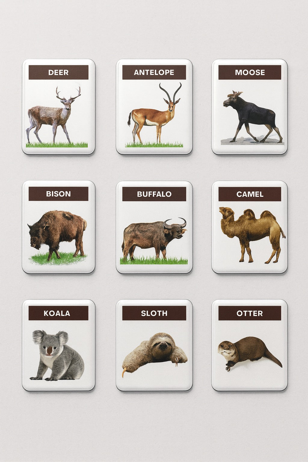 Montessori Realistic Animal Magnets (48 pcs)