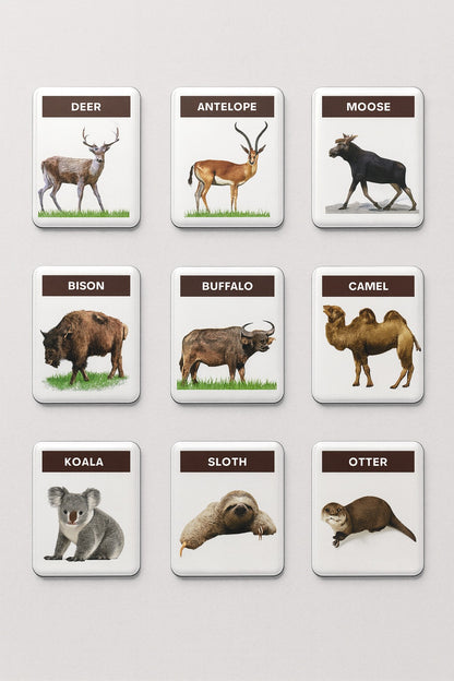 Montessori Realistic Animal Magnets (48 pcs)